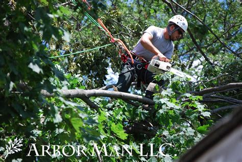 arborman|arbor man llc.